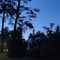01:00 in June. This is as dark as it gets in Stockholm. 