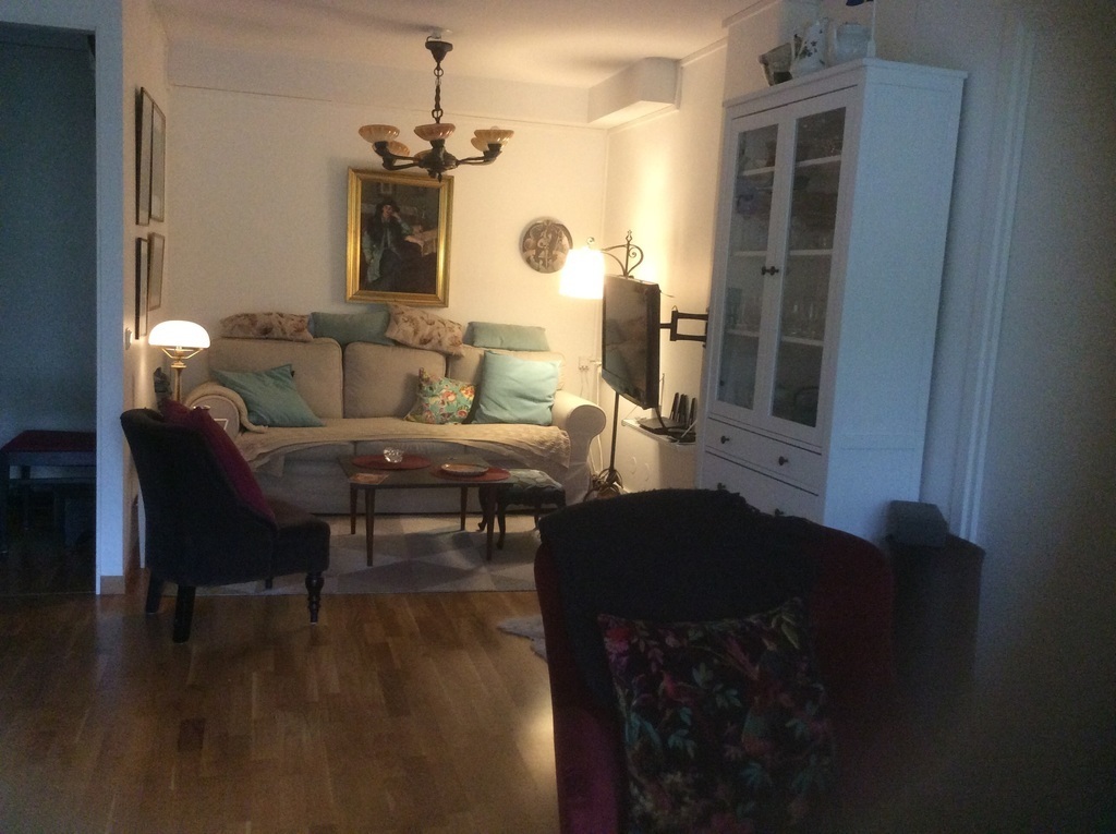 Del av vardagsrummet med soffa och tv 