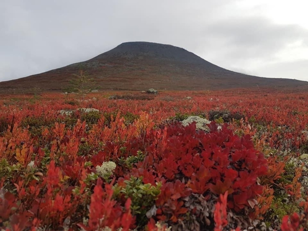 Environment cottage 1