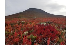 Environment cottage 1