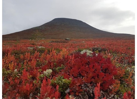 Environment cottage 1