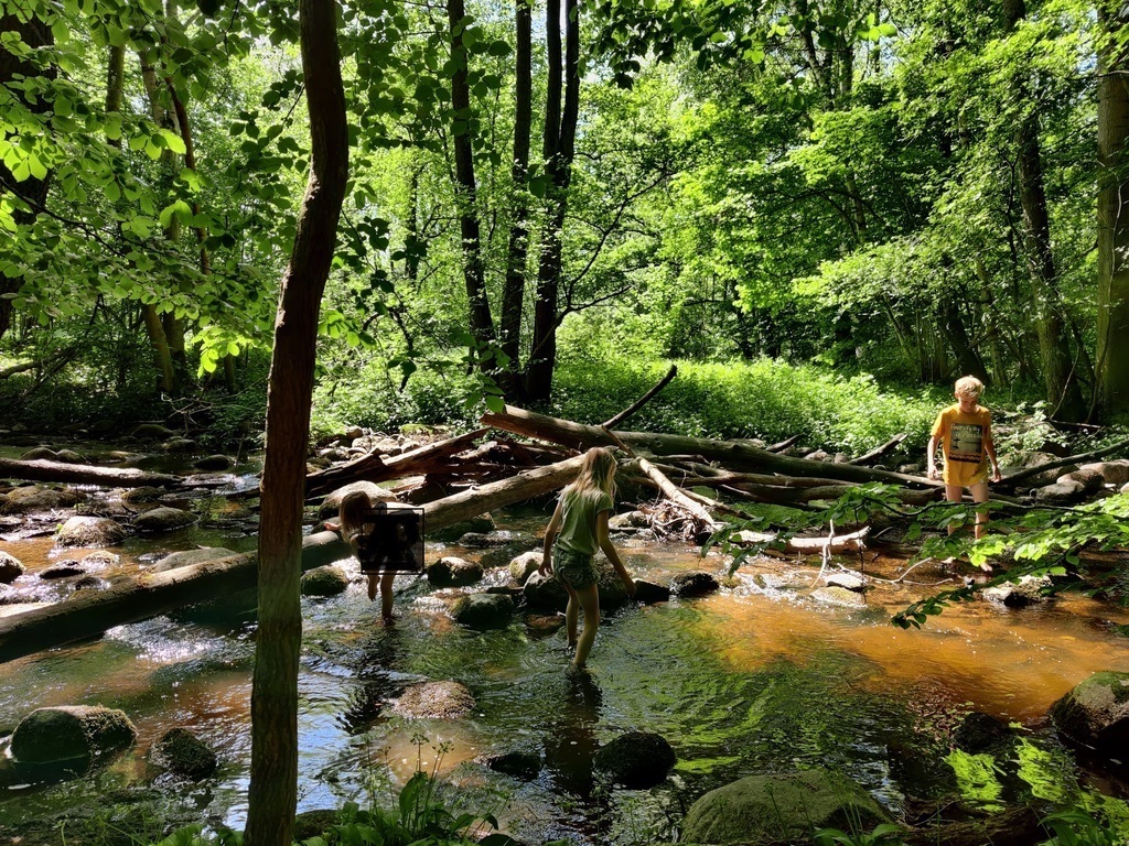 Picture from Rövarkulan, 30 min by car from our house. 