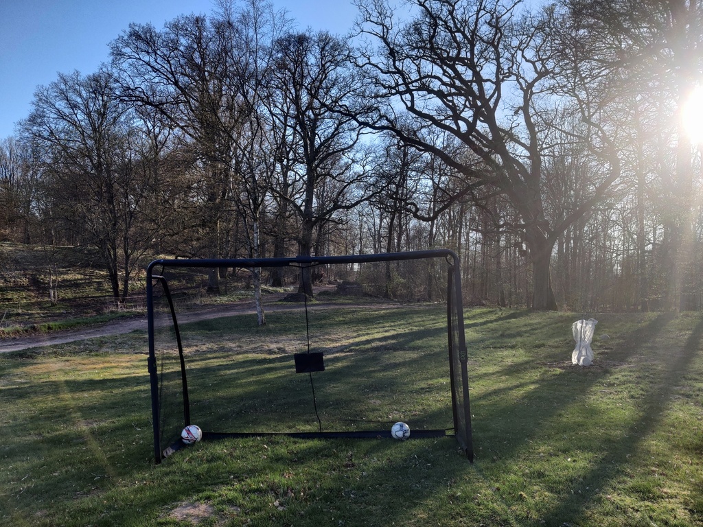 Lots of space for sports and fun in the garden.