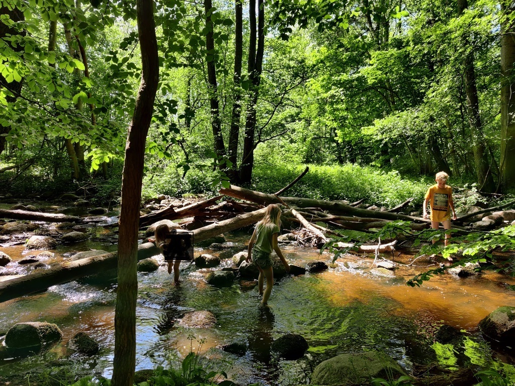 Picture from Rövarkulan, 30 min by car from our house. 