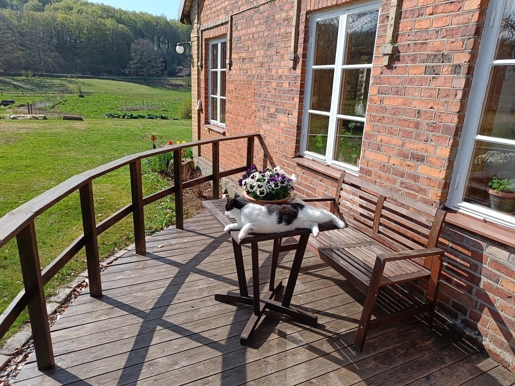 A nice place for breakfast on our Morning deck.