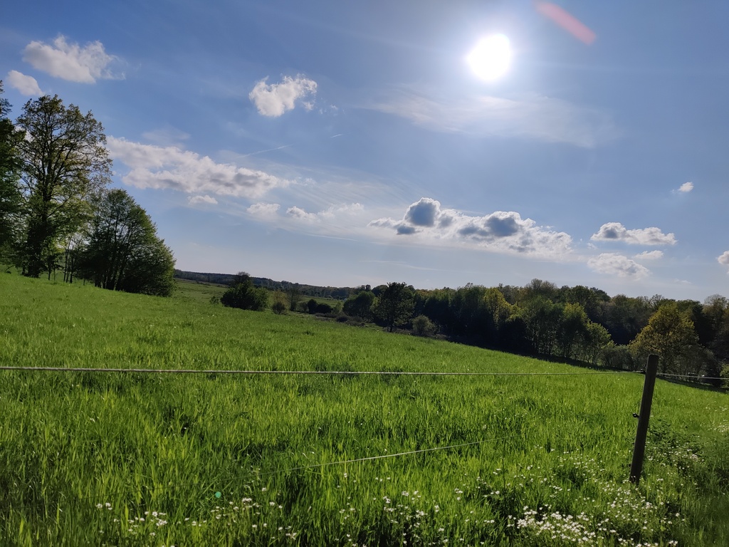 View of the fields surrounding the house. 