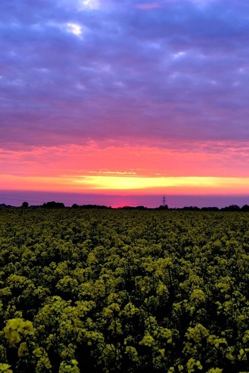 Sunset over a field in Trelleborg