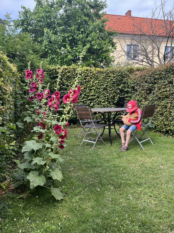 Our favourite spot in the garden.