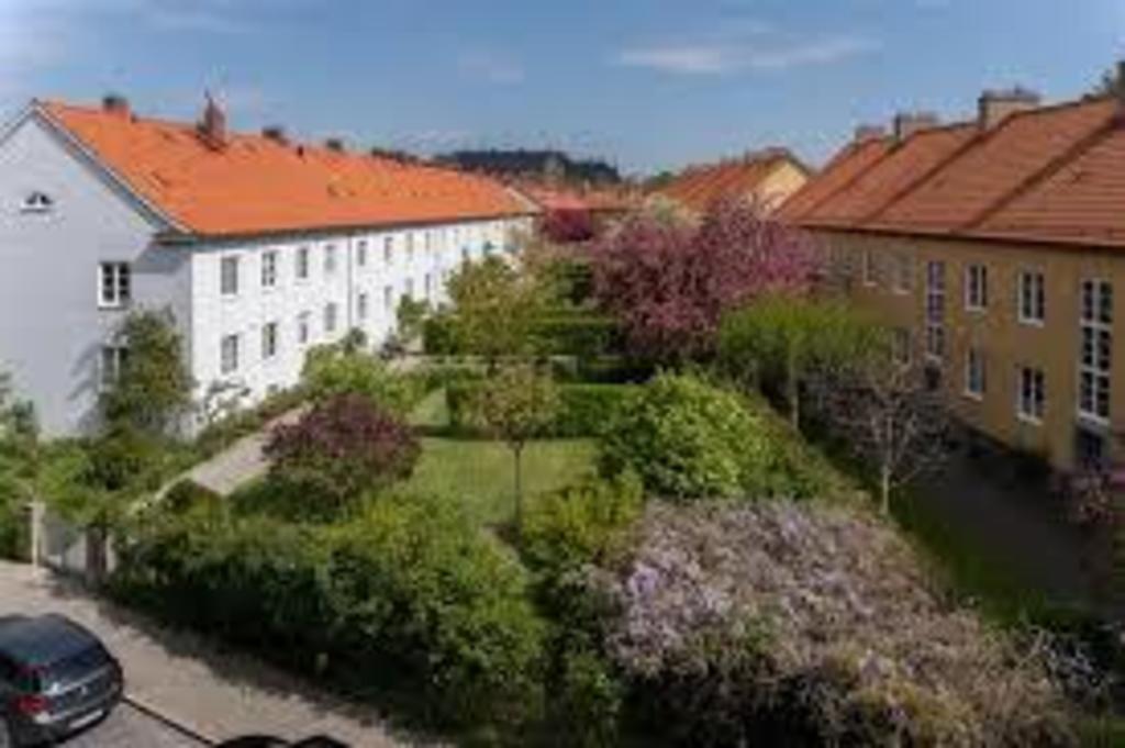 Our friendly neighbourhood