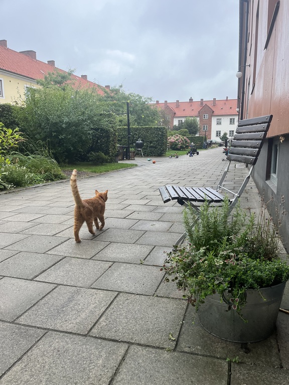 We have a big shared garden! 