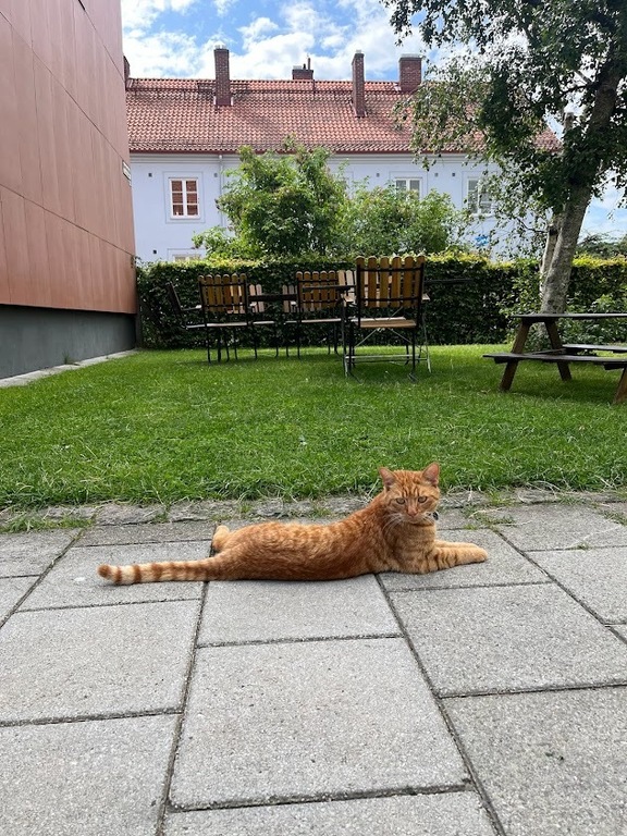 Lots of places to sit outside.