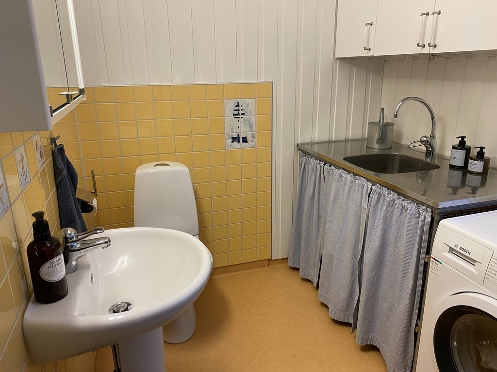 Downstairs toilet and laundry room