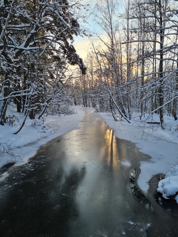 20 minute walk from the house