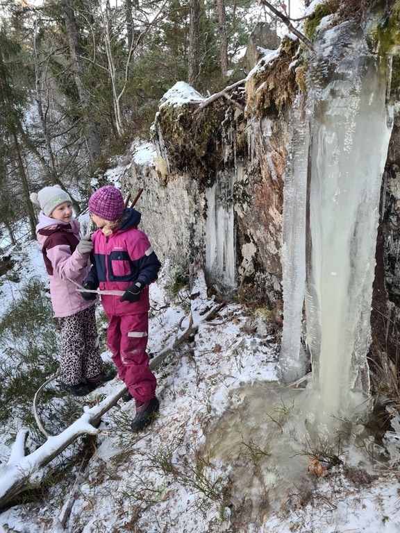 Winter in the forest, 20 minute walk from the house