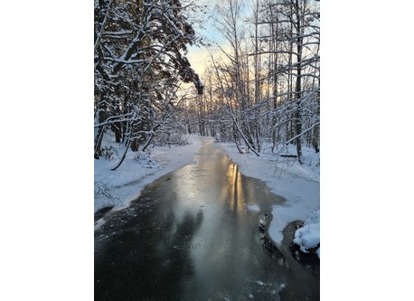 20 minute walk from the house