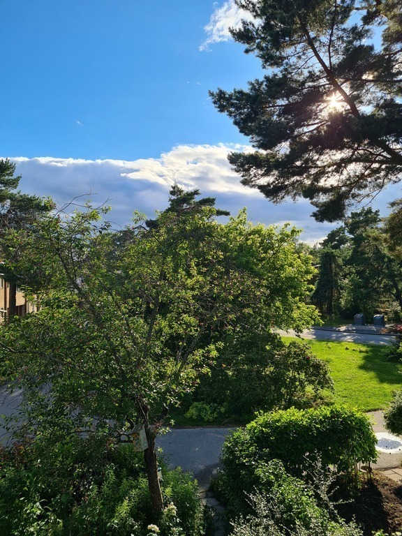 view from the balcony