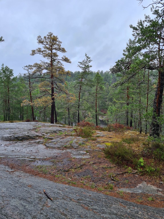 Bicycle trail in the area
