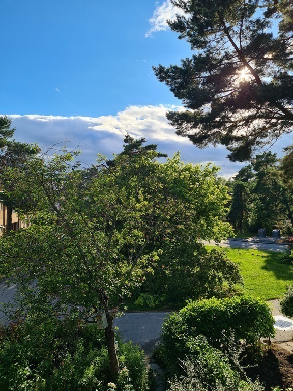 view from the balcony