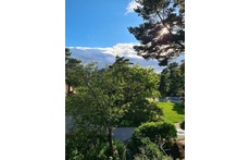 view from the balcony