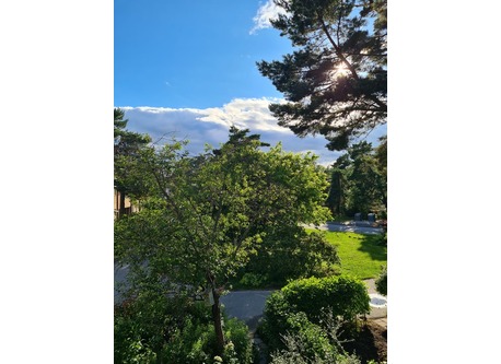 view from the balcony