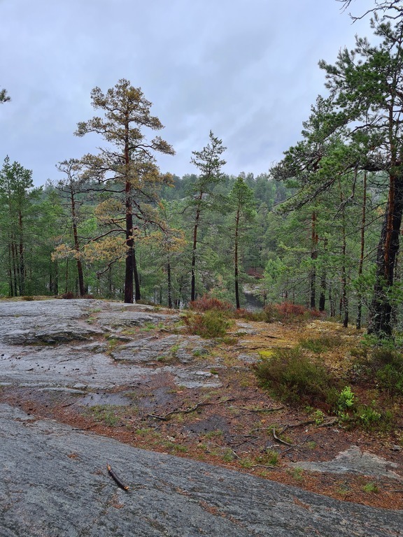 Bicycle trail in the area