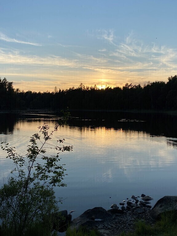Sunset by a little lake in the forest