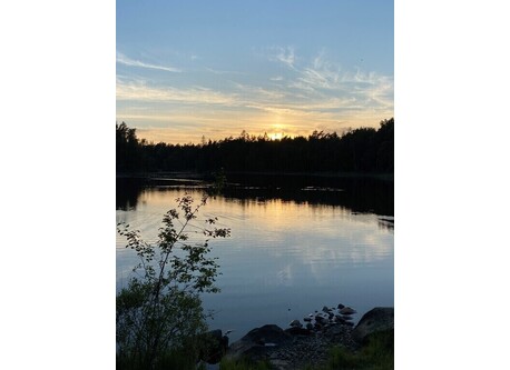 Sunset by a little lake in the forest