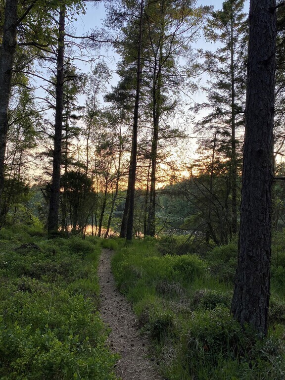 Forest 30 minutes from our home