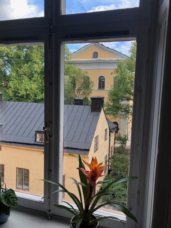 The Hartwig house from 1790. View from the kitchen.