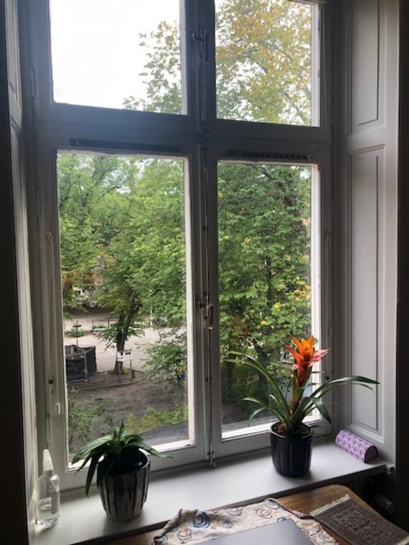 Window view from the living room.