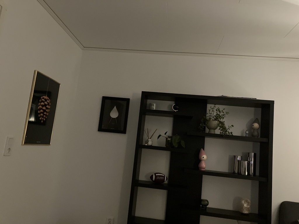 Living room down stairs 