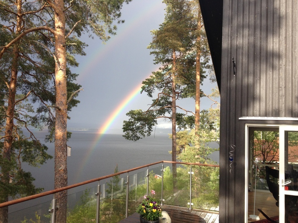 View from the terrace 