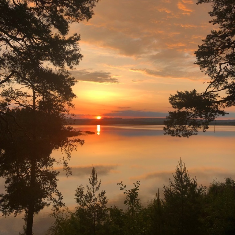 View from the living room