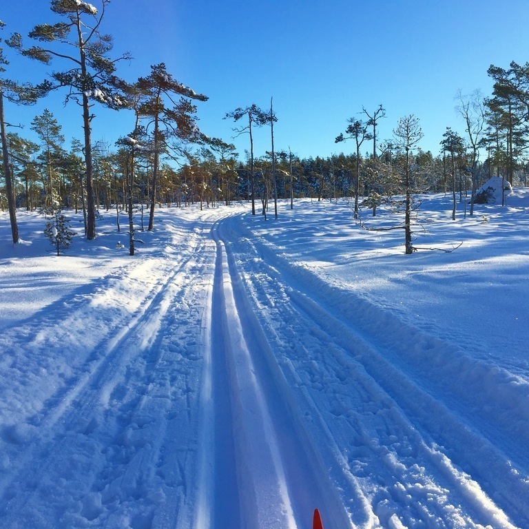 Crosscountry skiing in the winter