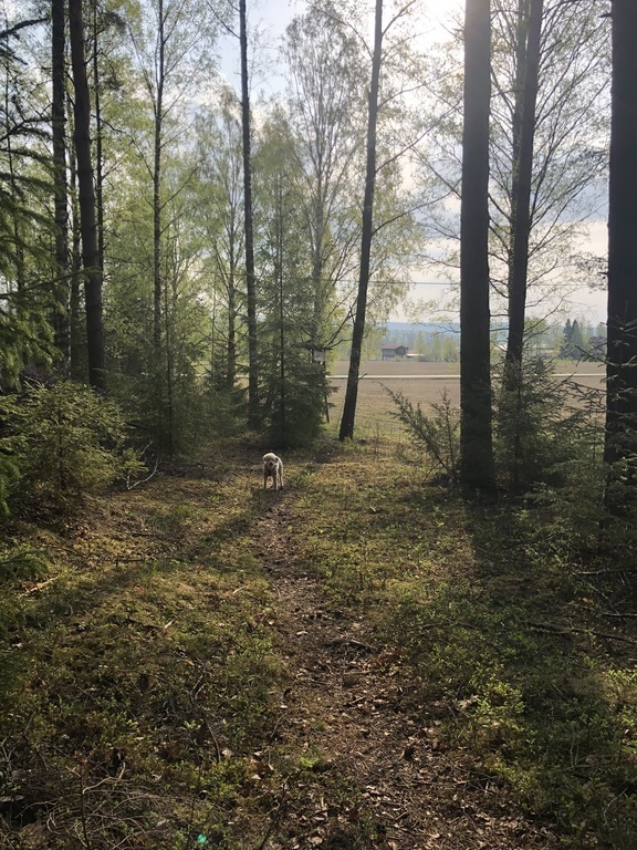 Many hiking opportunity's in the neighbourhood