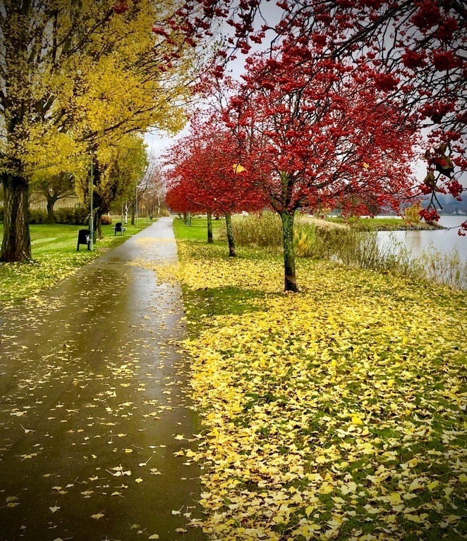 Beachwalk in the november