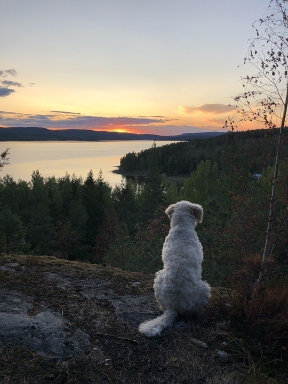 Sunset from the barbecue area 10 - minutes away