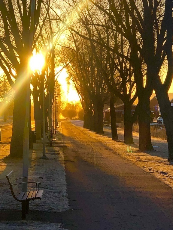 Beach walk in Arvika