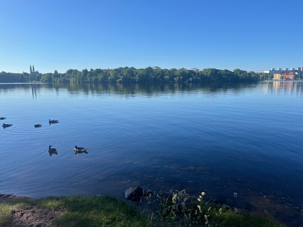 A wide range of birds and wildlife in the surroundings is living proof of urban nature. 