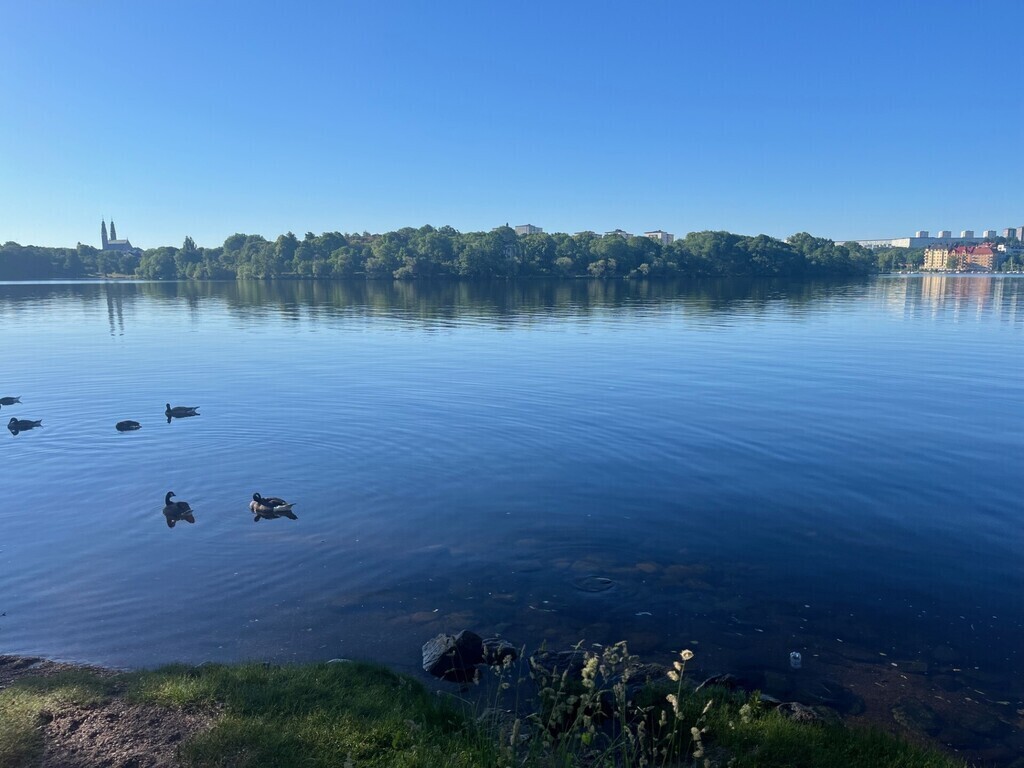 A wide range of birds and wildlife in the surroundings is living proof of urban nature. 