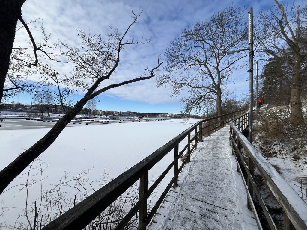 Walking path follows the seaside