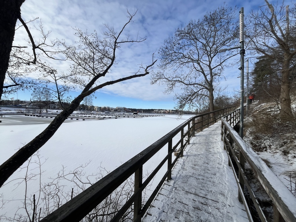Walking path follows the seaside
