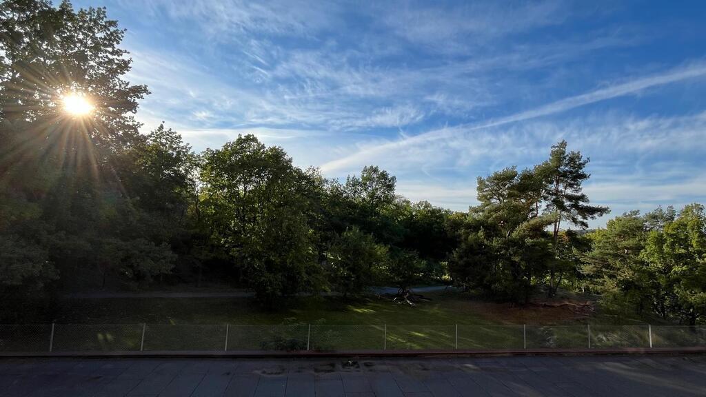View from our balcony, overlooking a large park.