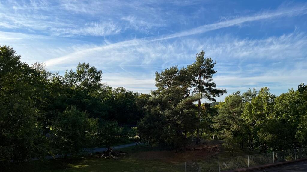 View from our balcony, overlooking a large park.