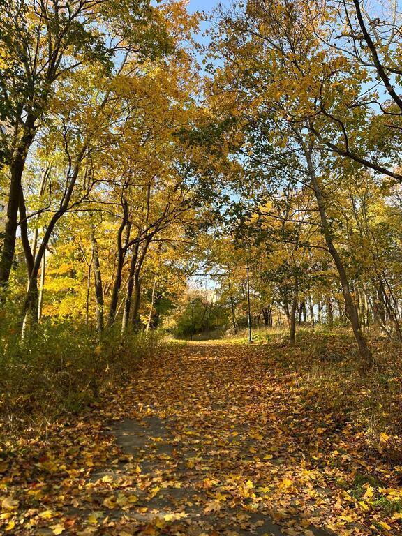 Walking area behind our building in the fall.