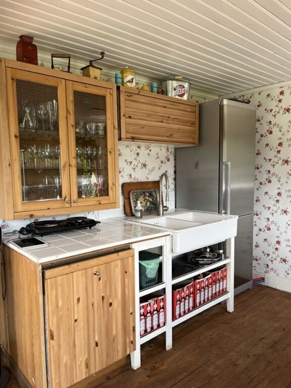 Outside kitchen with fridge, dishwasher, and a hotplate for two pans