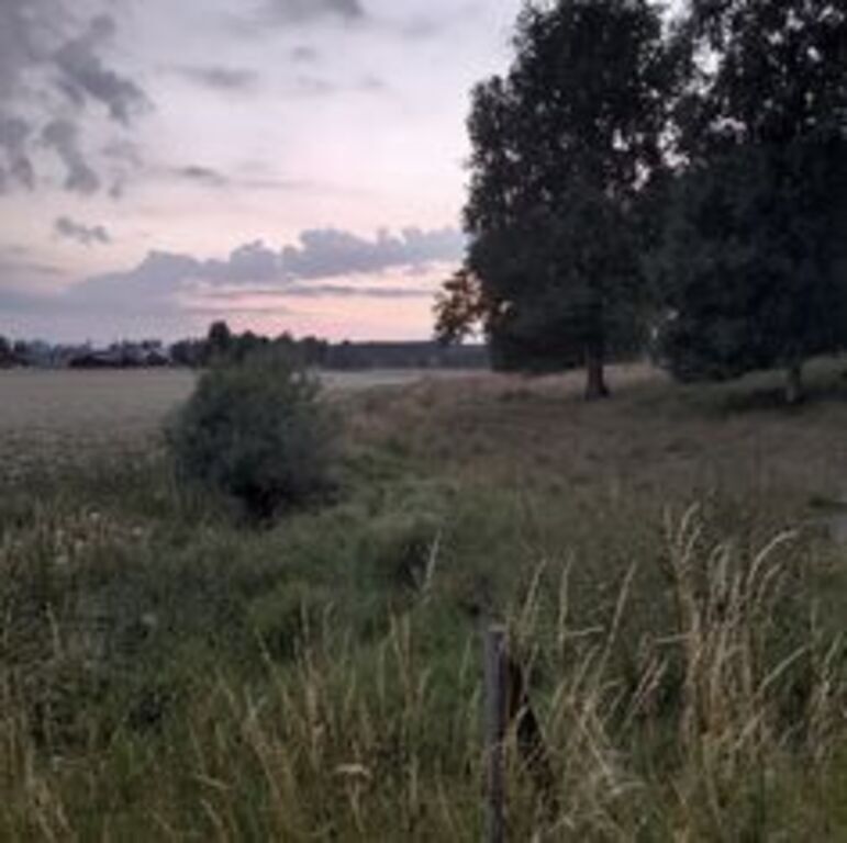 Photo from evening walk that shows the Swedish summer night light 