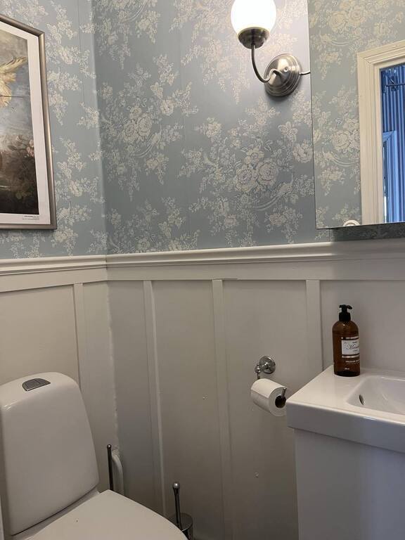 Small toilet on the groundfloor