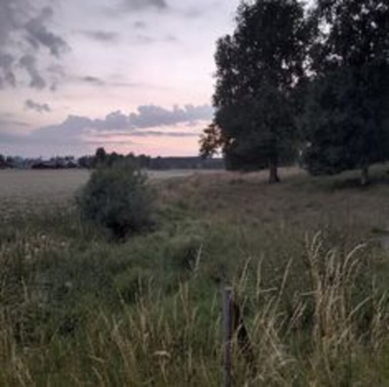 Photo from evening walk that shows the Swedish summer night light 