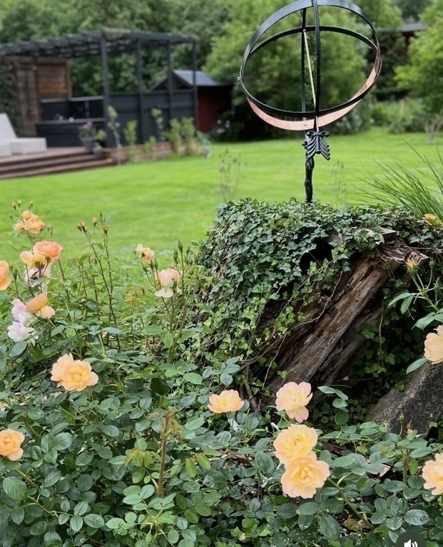 view  over garden from the roses 